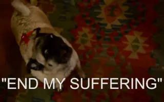 pug party pug party