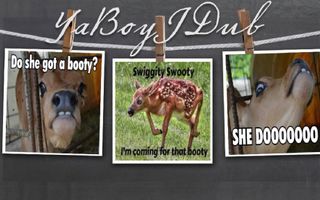YaBoyJDub - Swiggity Swooty (I'm Coming For That Booty) *MeMe Rap* YaBoyJDub - Swiggity Swooty (I'm Coming For That Booty) *MeMe Rap*