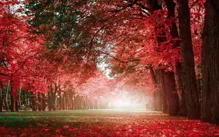 Relaxing Beautiful Romantic Music: Piano Music, Violin Music, Cello Music, Guitar Music ★74 Relaxing Beautiful Romantic Music: Piano Music, Violin Music, Cello Music, Guitar Music ★74