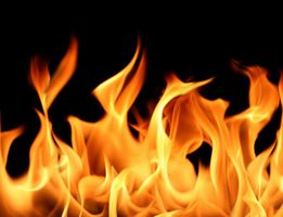 Which fire type starter do you prefer the most? Which fire type starter do you prefer the most?