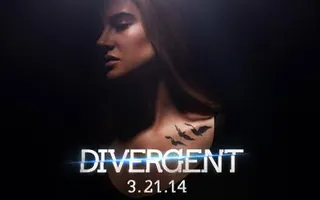 DIVERGENT DIVERGENT