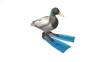 Pato dando vueltas 10 Horas Pato dando vueltas 10 Horas