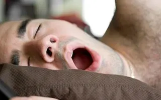 Fact or Fiction? People Swallow 8 Spiders a Year While They Sleep - Scientific American Fact or Fiction? People Swallow 8 Spiders a Year While They Sleep - Scientific American