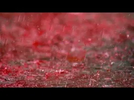 Blood rain (1) Blood rain (1)
