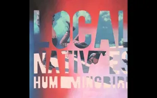 Local Natives - Mt. Washington [HD]