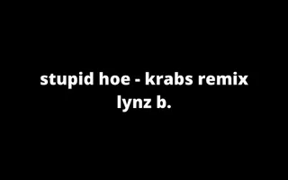 stupid hoe - krabs remix