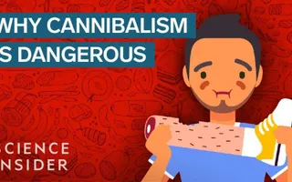 Is Eating Humans Actually Unhealthy?