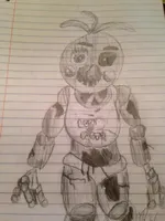 TailsFox's Photo: 1 / 14