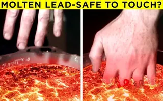 Surprising Myths That Are Actually True