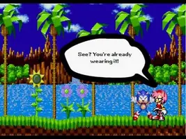Why Sonic Should Check His Rings - Funny Sonic and Amy Sprite Animation