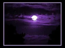 Evanescence - Imaginary Evanescence - Imaginary