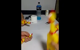 Rubber Chicken EDM Rubber Chicken EDM