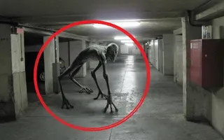 Worlds Scariest Creatures Caught On Tape 2016 Worlds Scariest Creatures Caught On Tape 2016