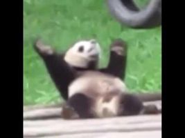 When you listen to mystic messenger theme When you listen to mystic messenger theme
