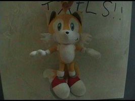 INTERACTIVE Torture Tails!! INTERACTIVE Torture Tails!!
