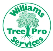 Tree Services Perth | Tree Removal & Tree Lopping Tree Services Perth | Tree Removal & Tree Lopping