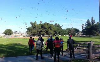 John Egbert: DO THE WINDY THING!