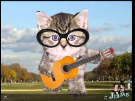 Crazy Congrats Song.wmv Crazy Congrats Song.wmv