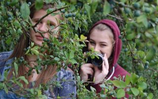 The Photography Challenge! The Photography Challenge!