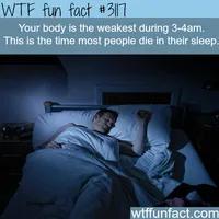 The hour most people die in their sleep - WTF fun... The hour most people die in their sleep - WTF fun...