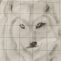 Pack of Wolves (howls) Amino Pack of Wolves (howls) Amino