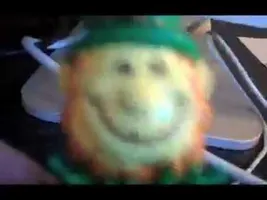 The Leprechaun Song The Leprechaun Song