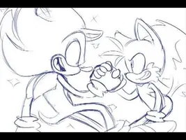 Sonic and Tails (but mostly Sonic)