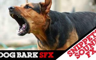 Dog Bark SFX | Snippets Sound Effects Dog Bark SFX | Snippets Sound Effects