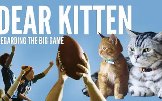 Dear Kitten: Regarding The Big Game Dear Kitten: Regarding The Big Game