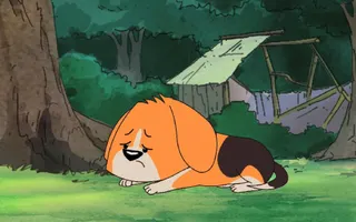 Do Not Abandon Your Pet Do Not Abandon Your Pet