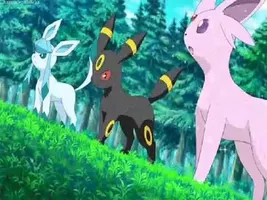 Pokemon what does a Fox say? Pokemon what does a Fox say?