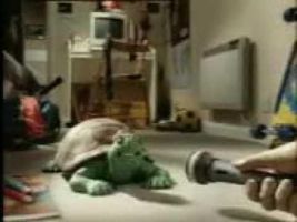 Turtle song persian language Turtle song persian language