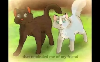 Hollyleaf | Don't You Worry Child (picture music video) Hollyleaf | Don't You Worry Child (picture music video)