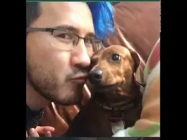 Markiplier Vine Compilation (as of early 2016) Markiplier Vine Compilation (as of early 2016)