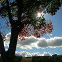 Sky (StoriesInTheSky) - Wattpad Sky (StoriesInTheSky) - Wattpad
