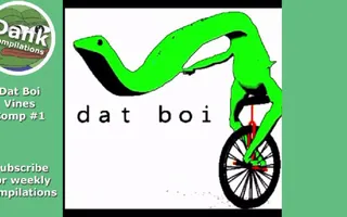 DATBOI ultimate vine compilation