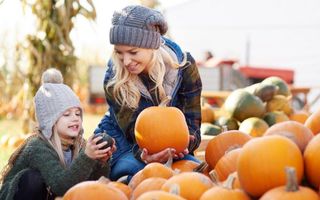 40 Best Halloween Activities - Fun Halloween Things to Do At Home With Kids 40 Best Halloween Activities - Fun Halloween Things to Do At Home With Kids