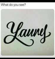 Object Ttibute Object Ttibute