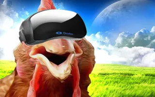 Chicken Walk Chicken Walk