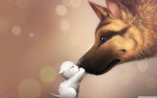 Image: wallpaper cute Image: wallpaper cute