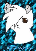 Ask Snoweh | Virtual Space Amino Ask Snoweh | Virtual Space Amino