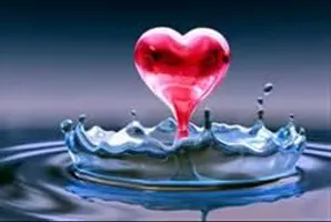 Does anyone need any advice on something in there life? I can help I'm pretty good about giving advice and I know you don't want to come to a total stranger for help but it might be better. I would love to hear your input, problems, and your activities going on in your life. Go ahead and post Does anyone need any advice on something in there life? I can help I'm pretty good about giving advice and I know you don't want to come to a total stranger for help but it might be better. I would love to hear your input, problems, and your activities going on in your life. Go ahead and post