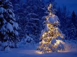ARE YOU EXCITED FOR CHRISTMAS???? Are you guys excited for Christmas? Tell me your favourite thing about it! ARE YOU EXCITED FOR CHRISTMAS???? Are you guys excited for Christmas? Tell me your favourite thing about it!
