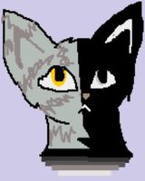 what do you think of Halface? i received a message from halface, saying he wants to know what you think of him. Plz answer! what do you think of Halface? i received a message from halface, saying he wants to know what you think of him. Plz answer!