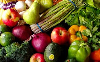 Is it true that the vegetarian diet can affect the development of the brain? Is it true that the vegetarian diet can affect the development of the brain?