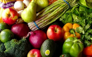 Is it true that the vegetarian diet can affect the development of the brain? Is it true that the vegetarian diet can affect the development of the brain?