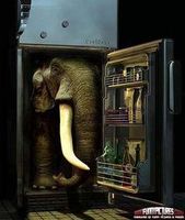 How can you put an elephant in a refrigerator in 3 steps? How can you put an elephant in a refrigerator in 3 steps?