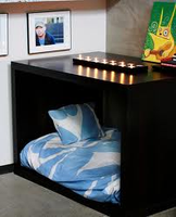 What do you think about this bed? I think its so cool! What dog would like this bed? What do you think about this bed? I think its so cool! What dog would like this bed?