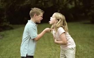 THE GREAT DEBATE: SIBLINGS Are siblings too annoying or are they nice to have? Explain. THE GREAT DEBATE: SIBLINGS Are siblings too annoying or are they nice to have? Explain.