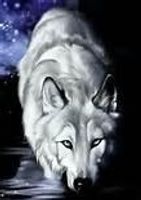 Does anyone here play Wolf Quest??? I love wolf quest and I want to rp but no one seems to be on the multiplayer Does anyone here play Wolf Quest??? I love wolf quest and I want to rp but no one seems to be on the multiplayer